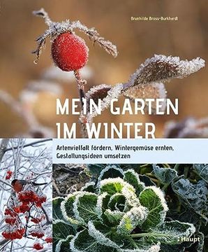 portada Mein Garten im Winter: Artenvielfalt Fördern, Wintergemüse Ernten, Gestaltungsideen Umsetzen (in German)