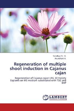 portada Regeneration of Multiple Shoot Induction in Cajanus Cajan