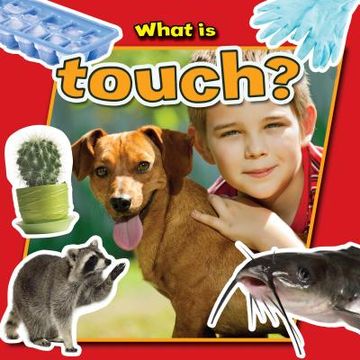 portada what is touch? (en Inglés)