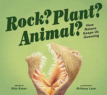 portada Rock? Plant? Animal? How Nature Keeps us Guessing (en Inglés)