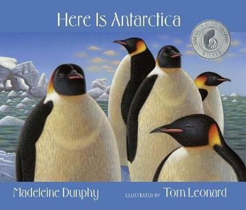 portada Here is Antarctica (en Inglés)