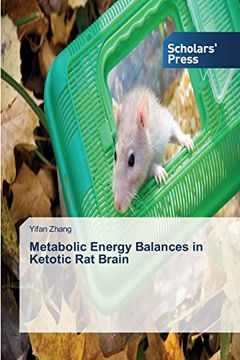 portada Metabolic Energy Balances in Ketotic Rat Brain