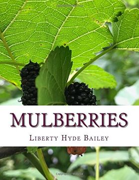 portada Mulberries