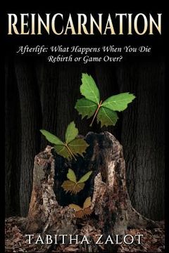 portada Reincarnation: Afterlife: Life After Death - What Happens When You Die? Rebirth or Game Over? (in English)