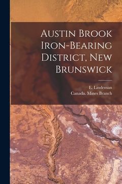 portada Austin Brook Iron-bearing District, New Brunswick [microform] (in English)