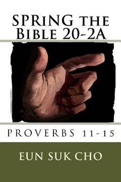 portada SPRiNG the Bible 20-2A (en Inglés)