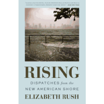 portada Rising: Dispatches From the new American Shore (en Inglés)