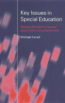 portada key issues in special education: raising standards of pupils' attainment and achievement (in English)