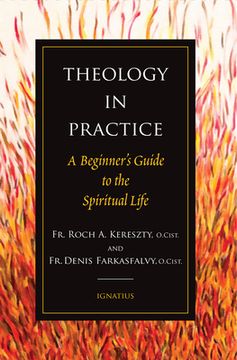 portada Theology in Practice: A Beginner's Guide to the Spiritual Life (en Inglés)