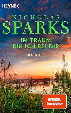 portada Im Traum bin ich bei Dir: Roman (en Alemán)