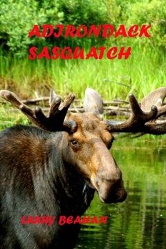 portada Adirondack Sasquatch