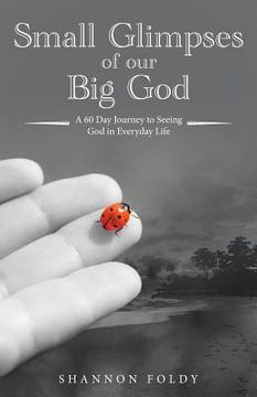 portada Small Glimpses of Our Big God: A 60 Day Journey to Seeing God in Everyday Life