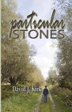 portada particular stones (en Inglés)