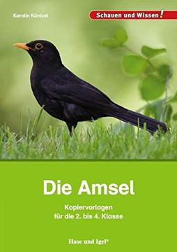 portada Die Amsel Kopiervorlagen für die 2. Bis 4. Klasse (en Alemán)
