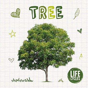 portada Life Cycle of a Tree (Life Cycles)