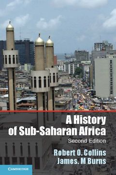 portada A History of Sub-Saharan Africa (en Inglés)