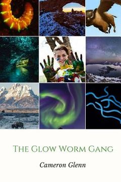 portada The Glow Worm Gang