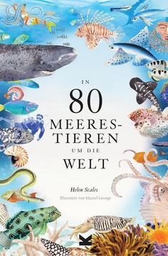 portada In 80 Meerestieren um die Welt (en Alemán)
