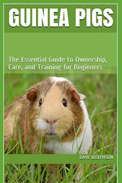 portada Guinea Pigs: The Essential Guide to Ownership, Care, and Training for Beginners (en Inglés)