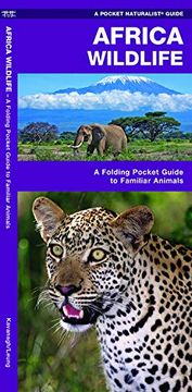 portada African Wildlife: A Folding Pocket Guide to Familiar Species (Wildlife and Nature Identification) (en Inglés)