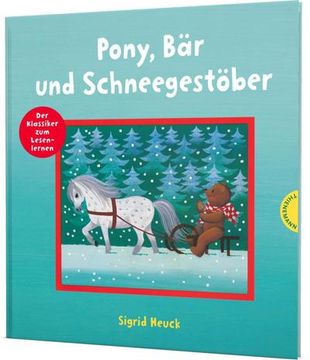 portada Pony, bär und Schneegestöber (in German)