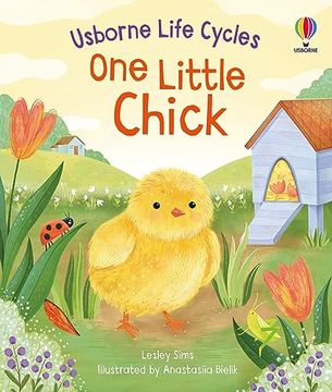 portada Usborne Life Cycles: One Little Chick