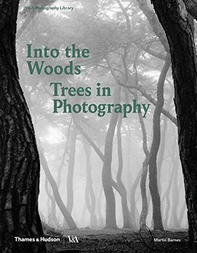 portada Into the Woods: Trees and Photography (in English)