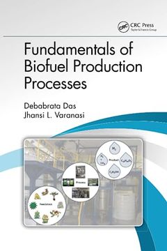 portada Fundamentals of Biofuel Production Processes (in English)