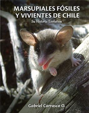 portada Marsupiales Fosiles y Vivientes de Chile