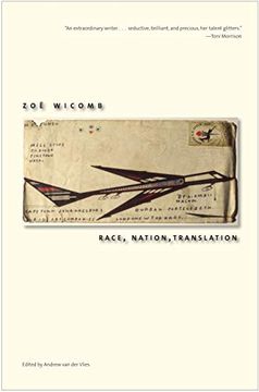 portada Race, Nation, Translation: South African Essays, 1990-2013 (en Inglés)