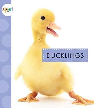 portada Ducklings (en Inglés)