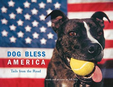 portada Dog Bless America: Tails From the Road (en Inglés)
