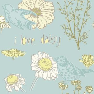 portada I Love Daisy: Girl's Diary