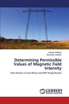 portada Determining Permissible Values of Magnetic Field Intensity