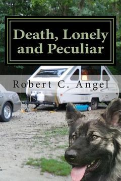 portada Death, Lonely and Peculiar: A Dr. Ray Raether South Carolina Travel Mystery