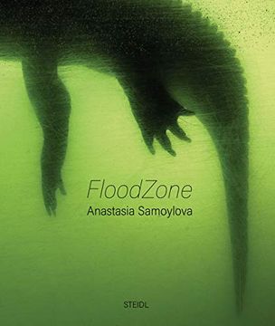 portada Anastasia Samoylova: Floodzone (in English)