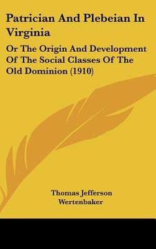 portada patrician and plebeian in virginia: or the origin and development of the social classes of the old dominion (1910)