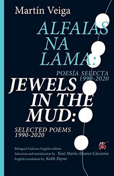 portada Jewels in the Mud: Selected Poems 1990-2020 (5) (Small Stations Poetry) (in English)