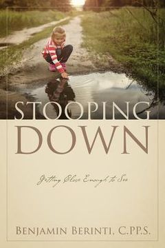 portada Stooping Down: Getting Close Enough to See (en Inglés)