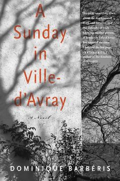 portada A Sunday in Ville-D'Avray: A Novel (en Inglés)