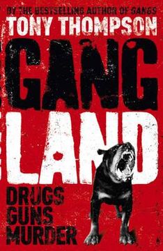 portada gangland: from footsoldiers to kingpins, the search for mr big (en Inglés)