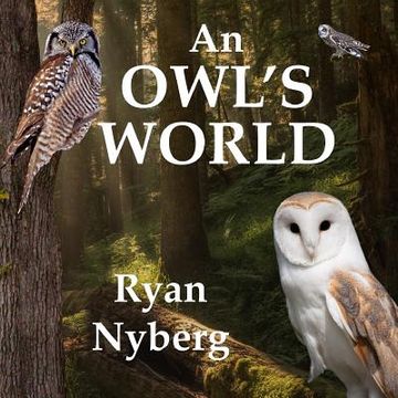 portada An Owl's World (en Inglés)