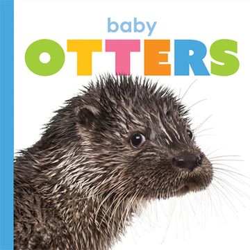 portada Baby Otters (en Inglés)