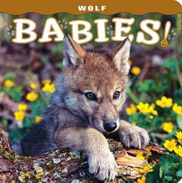portada Wolf Babies! (en Inglés)