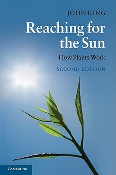 portada Reaching for the sun 2nd Edition Hardback (en Inglés)