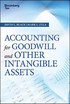 portada Accounting for Goodwill and Other Intangible Assets (Wiley Corporate F&A) (in English)