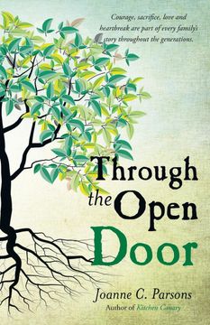 portada Through the Open Door (en Inglés)