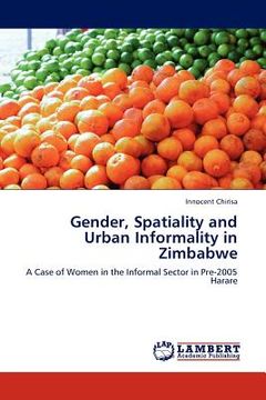 portada gender, spatiality and urban informality in zimbabwe (en Inglés)