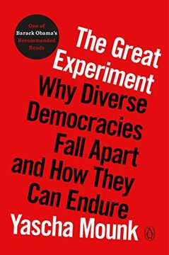 portada The Great Experiment: Why Diverse Democracies Fall Apart and how They can Endure (in English)