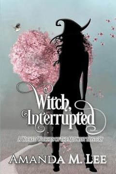 portada Witch, Interrupted (en Inglés)